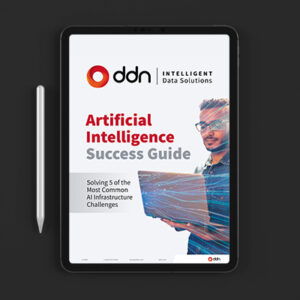 DDN Artificial Intelligence Success Guide